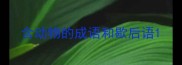 含动物的成语和歇后语