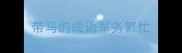带马的成语军务繁忙
