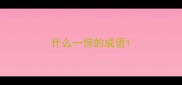 什么一惊的成语