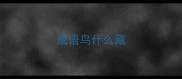 成语鸟什么藏