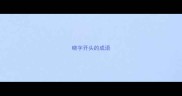 晓字开头的成语