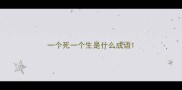 一个死一个生是什么成语