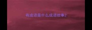 有成语是什么成语故事
