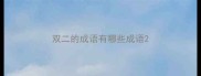 双二的成语有哪些成语