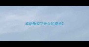 成语兔狡字开头的成语