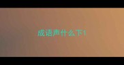 成语声什么下