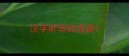 汉字听写的成语