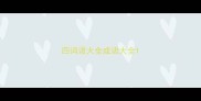 四词语大全成语大全