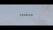 大象蚂蚁成语