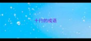 十行的成语
