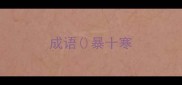 成语暴十寒