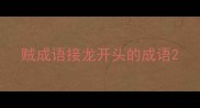 贼成语接龙开头的成语