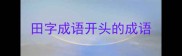 田字成语开头的成语