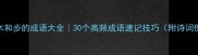 带木和步的成语大全30个高频成语速记技巧附诗词例句
