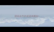 团结合作的成语有哪些