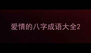 爱情的八字成语大全