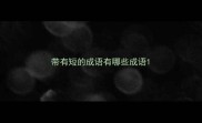 带有短的成语有哪些成语