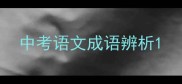 中考语文成语辨析