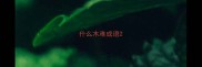 什么木难成语