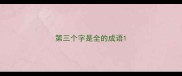 第三个字是全的成语