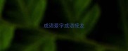 成语爱字成语接龙
