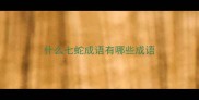 什么七蛇成语有哪些成语
