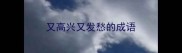 又高兴又发愁的成语