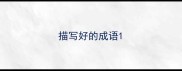 描写好的成语