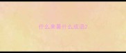 什么来暑什么成语