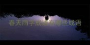 春天雨字成语有哪些成语