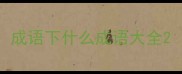 成语下什么成语大全