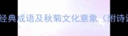 带秋菊的10个经典成语及秋菊文化意象附诗词应用指南