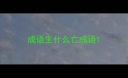 成语生什么亡成语