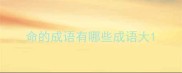 命的成语有哪些成语大