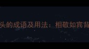 10个以xiang开头的成语及用法相敬如宾背后的处世智慧