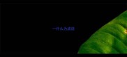 一什么为成语