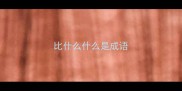 比什么什么是成语
