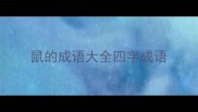 鼠的成语大全四字成语
