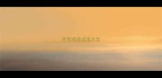 齐驾成语成语大全