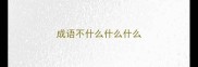 成语不什么什么什么