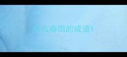 什么春雨的成语