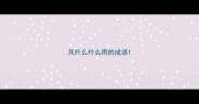 风什么什么雨的成语