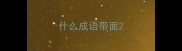 什么成语带面