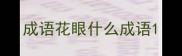 成语花眼什么成语