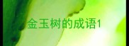 金玉树的成语