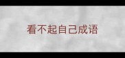 看不起自己成语