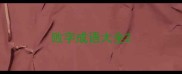 败字成语大全