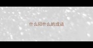 什么阳什么的成语