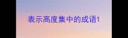 表示高度集中的成语