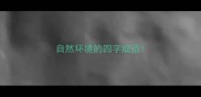 自然环境的四字成语